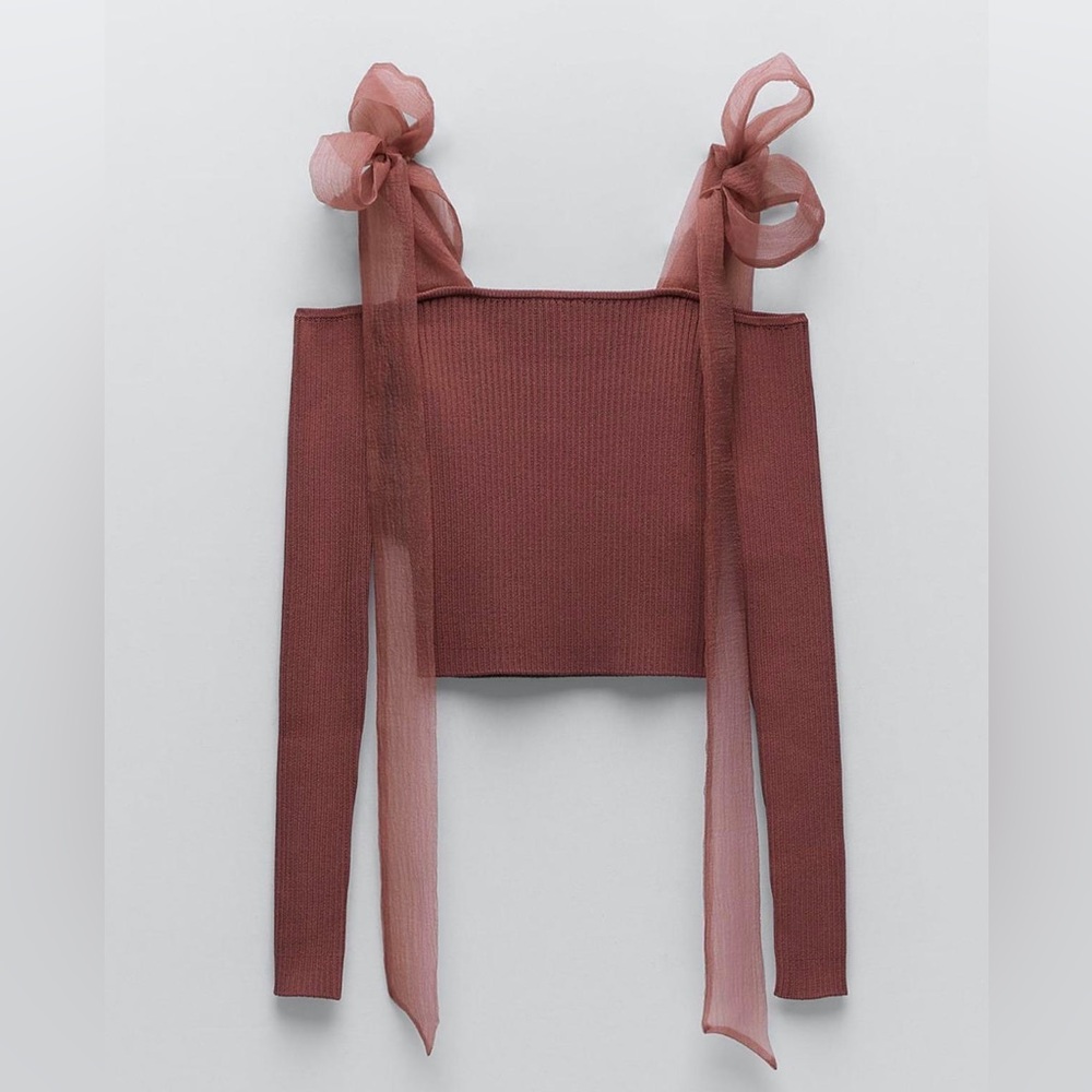 Zara Organza Tie Shoulder Top